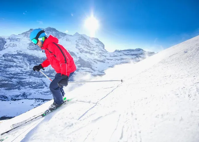 Appartement Allod Park Haus C 106 By Interhome